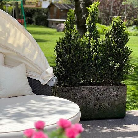 Ameiserhof Guesthouse Колалбо Екстериор снимка