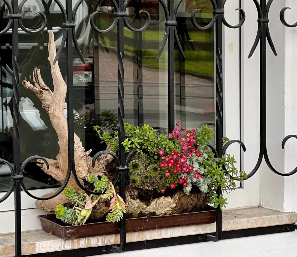 Ameiserhof Guesthouse Колалбо Екстериор снимка